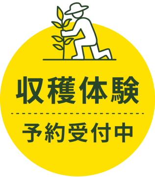 収穫体験予約受付中